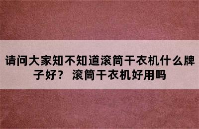 请问大家知不知道滚筒干衣机什么牌子好？ 滚筒干衣机好用吗